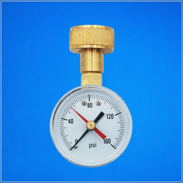 50mm Water test gauge